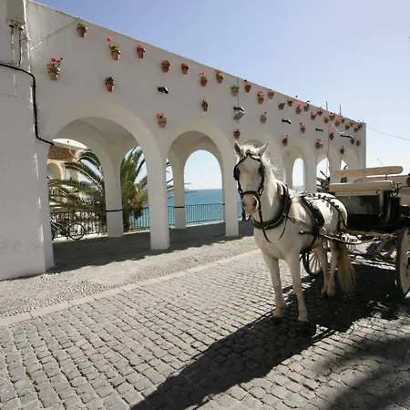 Toboso Nerja